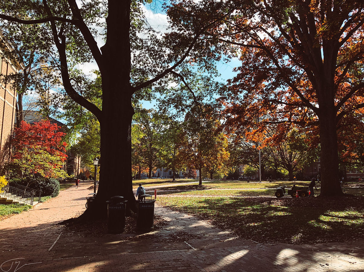 28. Autumn Quad.jpg