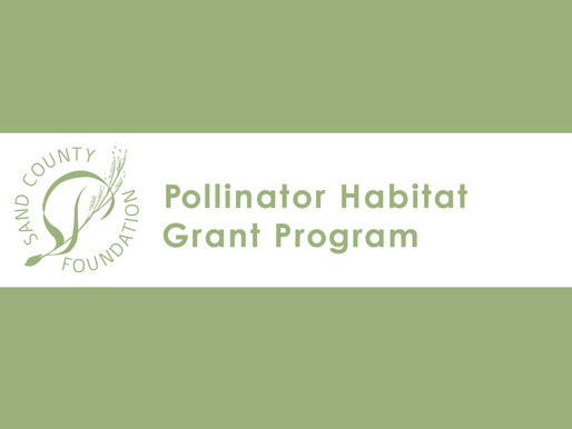 Akii-gikinoo’amaading Environmental Charter School Receives Pollinator Habitat Grant