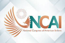 Beaudin Provides Report on NCAI Meeting in Washington