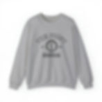 Thumbnail: The Point Univ Pullover