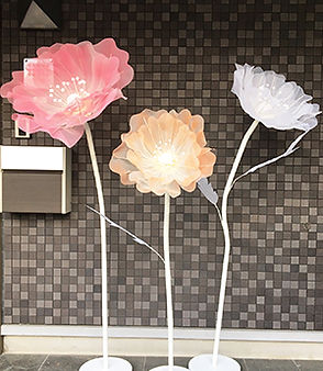 IMG_6198_WEB.jpg