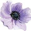 F-Parme poupees-Droite.png