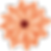 F-Orange Barb art-Droite.png