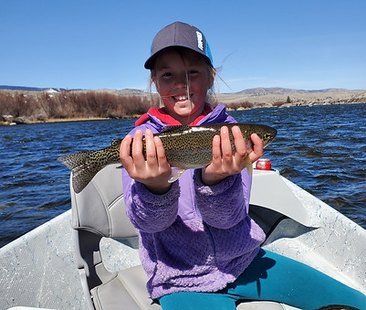 Madison River Fly Fishing River Borne Outfitters Trout Fishing Montana Guides