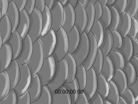 MFA Thesis Film: "Scales"