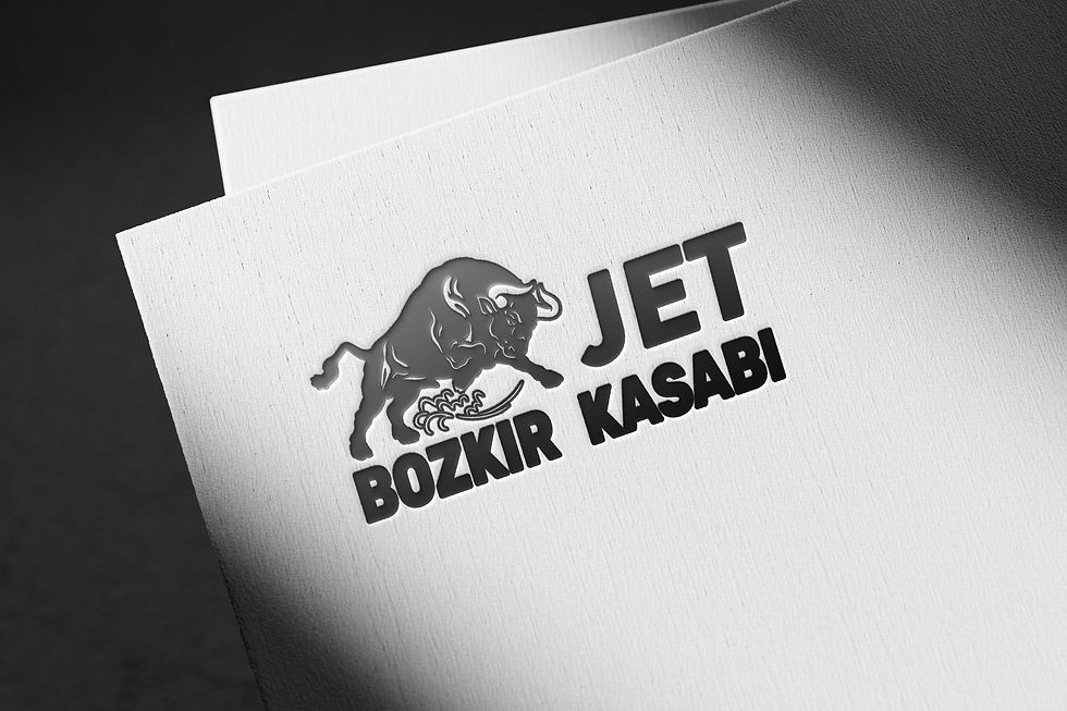 jet.jpg