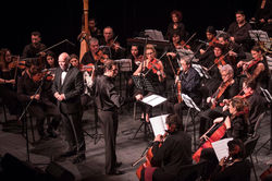 Artisti muzica clasica evenimente nunti | petrecere - muzica ambientala saxofon contrabas electric v