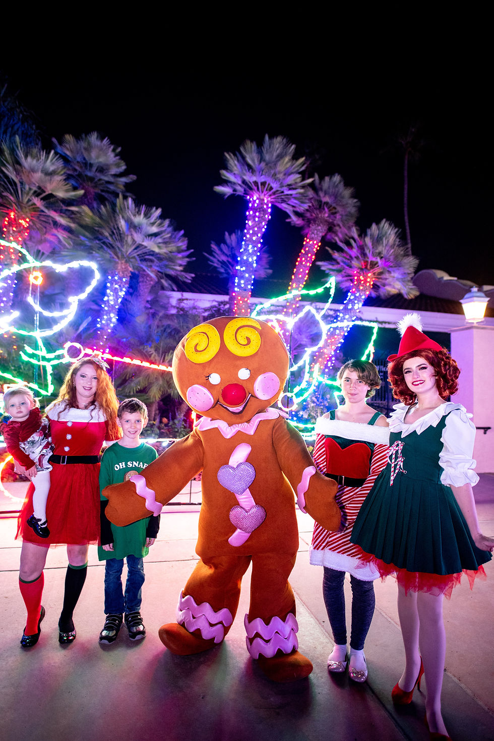 Coastal Christmas Holiday LIght Spectacular Del Mar
