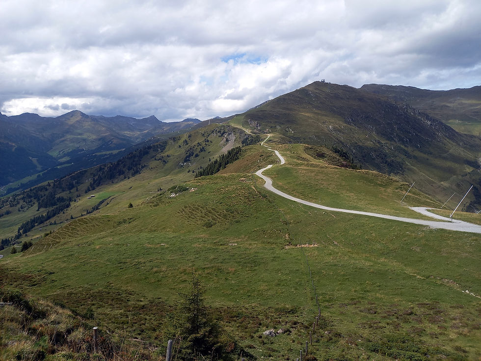 Sommer Panorama (10)