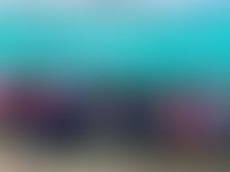 MÂNCIO LIMA ABRAÇA SÉRGIO PETECÃO.