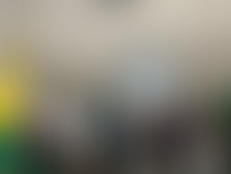 Senador Petecão participa de reunião com ministro para discutir sobre os imigrantes em Assis Brasil