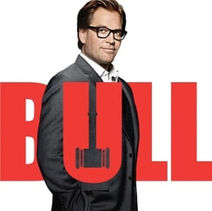 Bull_Season_2_Poster_edited.jpg