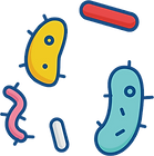 bacteria_PNG27.png