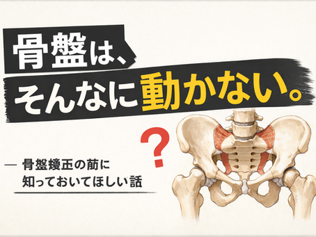 【東大阪市 骨盤矯正】整体師が語る骨盤矯正の真実。骨盤は動く?動かない?
──「骨盤矯正」を受ける前に知っておいてほしい話 |上杉整骨院