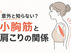 【肩こり 東大阪】意外と知らない?小胸筋と肩こりの関係|マッサージしても改善しない理由はこれかも!|上杉整骨院