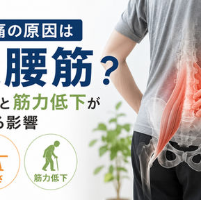 【東大阪市 腰痛】大腰筋が硬いと腰痛になる？硬さと筋力低下が与える影響｜上杉整骨院