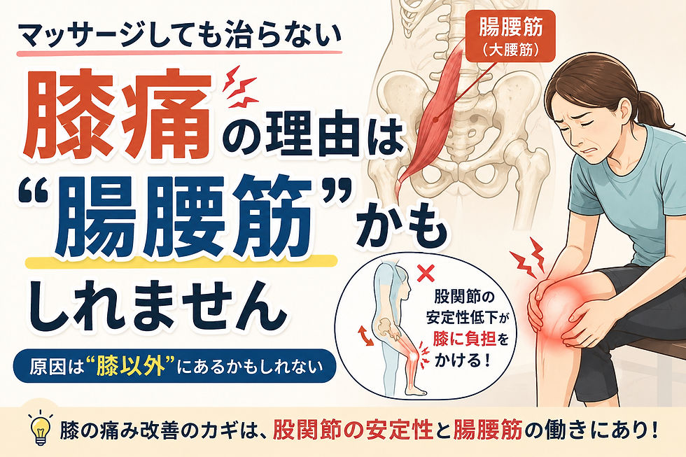 【東大阪市 変型性膝関節症】マッサージしても治らない膝痛、その理由は“腸腰筋”かもしれません|上杉整骨院