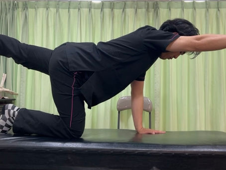 【東大阪市 腰痛】このインナーマッスルしっかり使えてますか？多裂筋について解説｜上杉整骨院