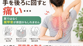 【東大阪市 50肩】手を後ろに回すと痛い…肩ではなく肩甲骨が原因かもしれません｜上杉整骨院