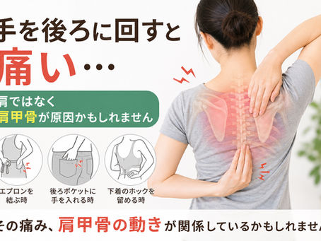 【東大阪市 50肩】手を後ろに回すと痛い…肩ではなく肩甲骨が原因かもしれません｜上杉整骨院