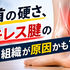 【アキレス腱炎 東大阪市】足首の硬さ、アキレス腱の前の組織が原因かも?|上杉整骨院