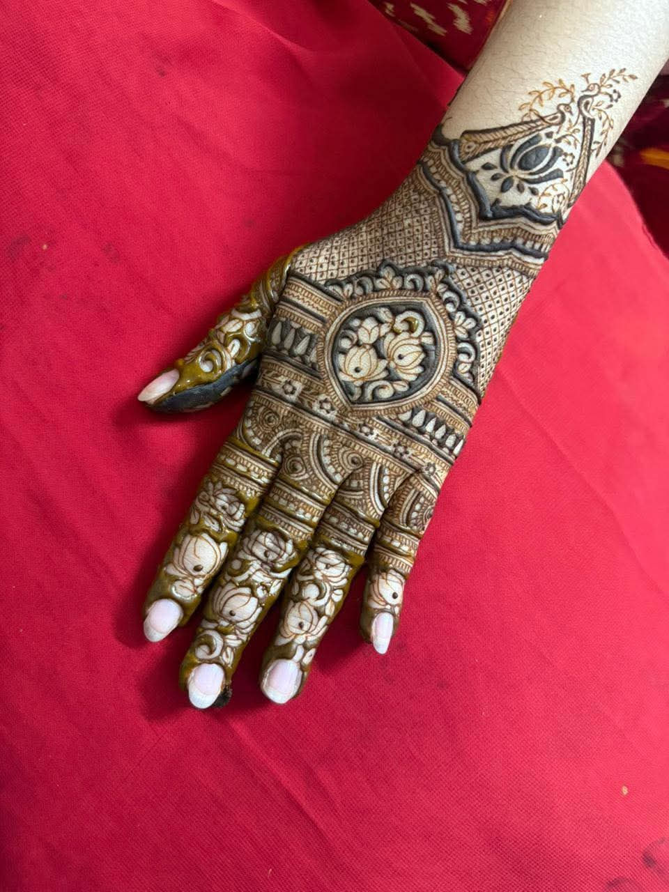 FB_IMG_1761735273787