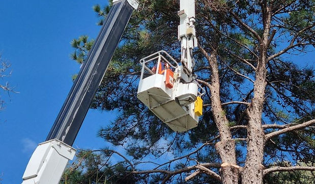 Russell Island Block Clearing & Building Services.
