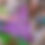Thumbnail: Sierpinski Triangle Nature craft
