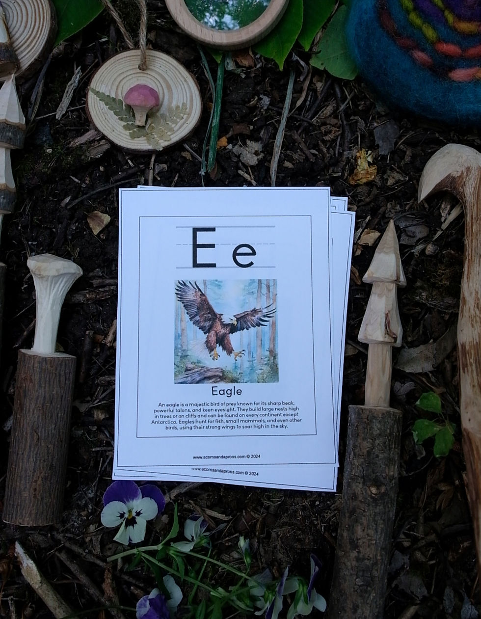 Thumbnail: ABC Woodland Poster and card pack