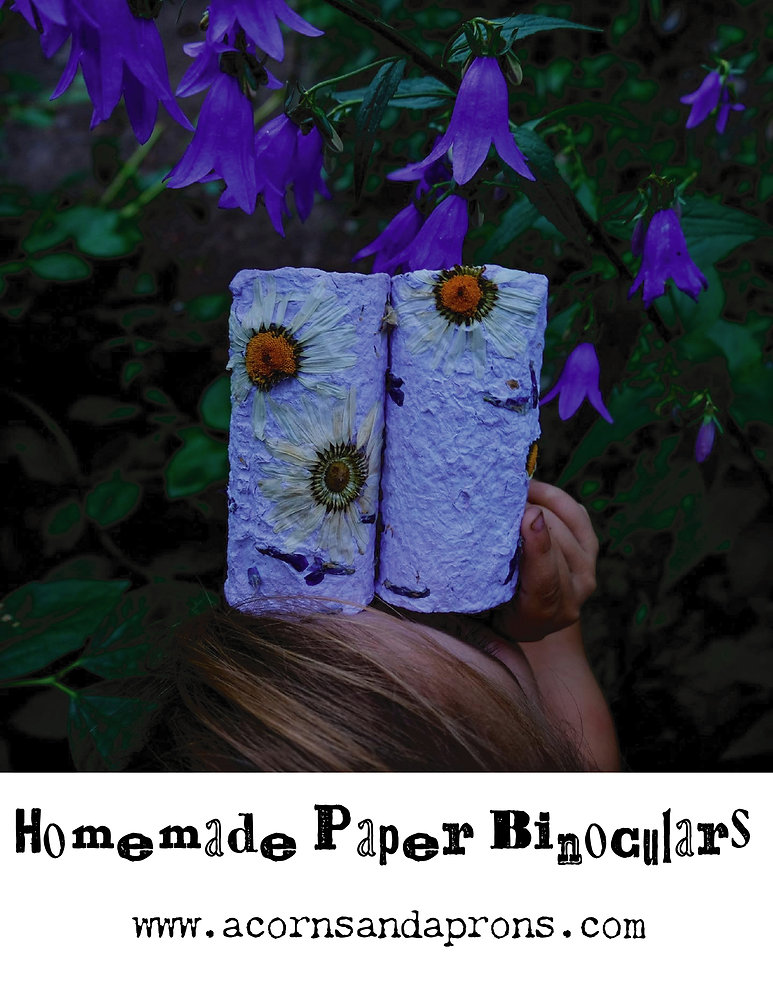 Homemade Paper Binoculars - with an extra craft idea of creating Hand Kites