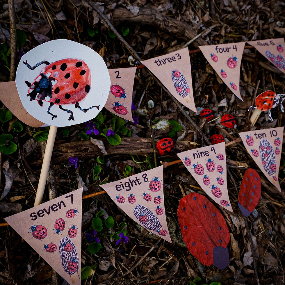Thumbnail: Ladybug word guide and math Bundle