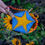 Thumbnail: Cottonwood Tree Star