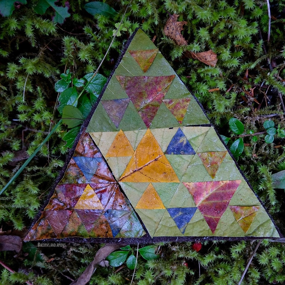 Thumbnail: Sierpinski Triangle Nature craft