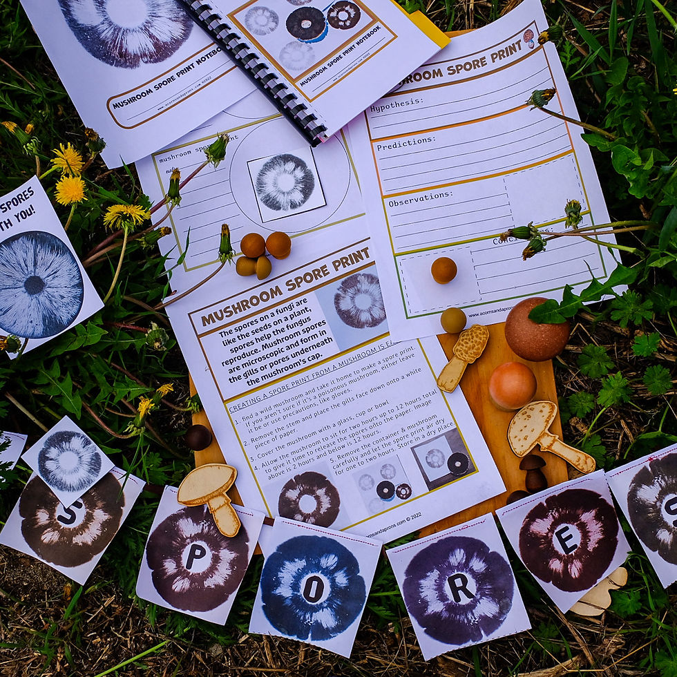 Thumbnail: Mushroom Spore Prints Pack