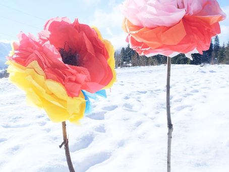 Large Tissue Paper Flower Craft