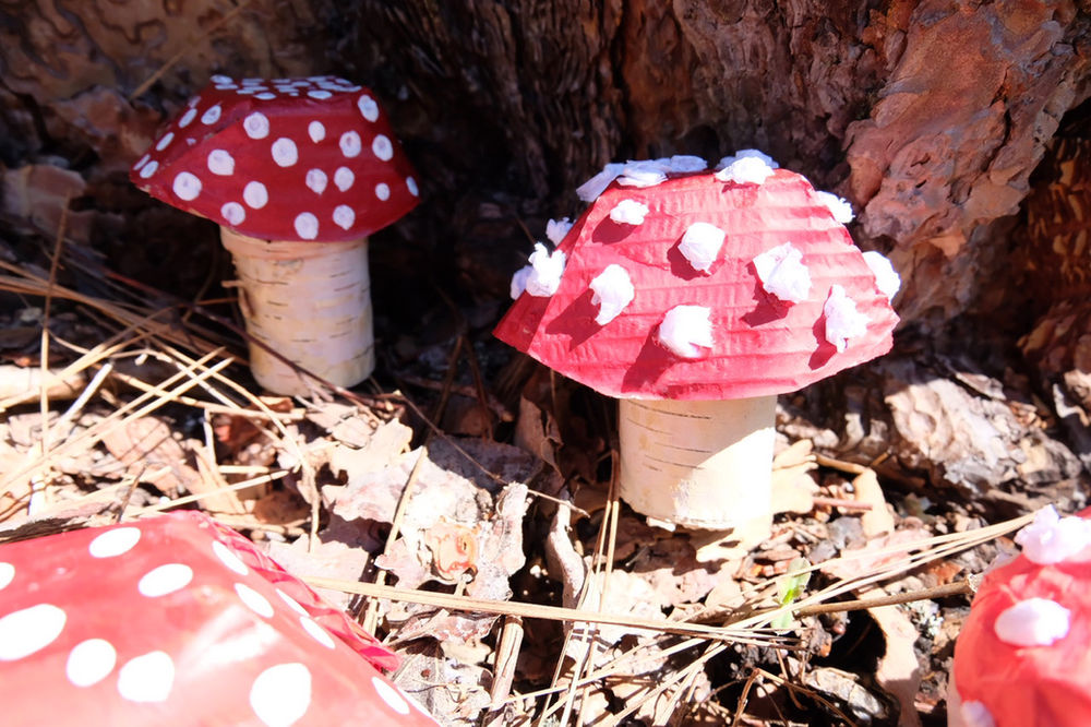 Recycled Mushroom Craft