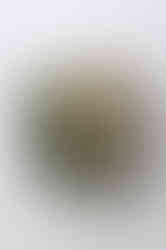 260723 편예린9574 copy 복사