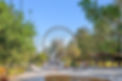 Fremantle_2025_262.jpg