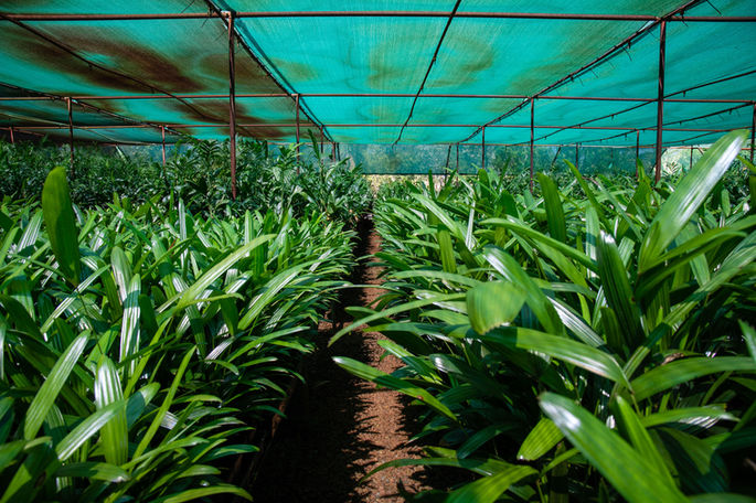 PRINT Tony and Sons 76.jpg