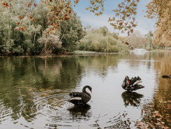 Highgate_2018_07.jpg