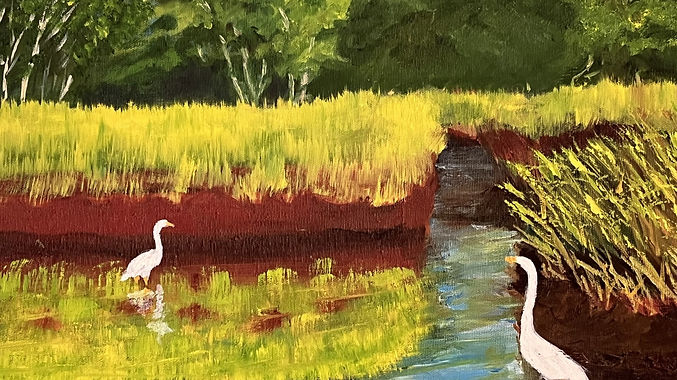 Serenity on the Davis