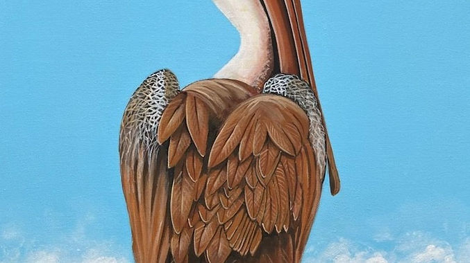 Pelican 2
