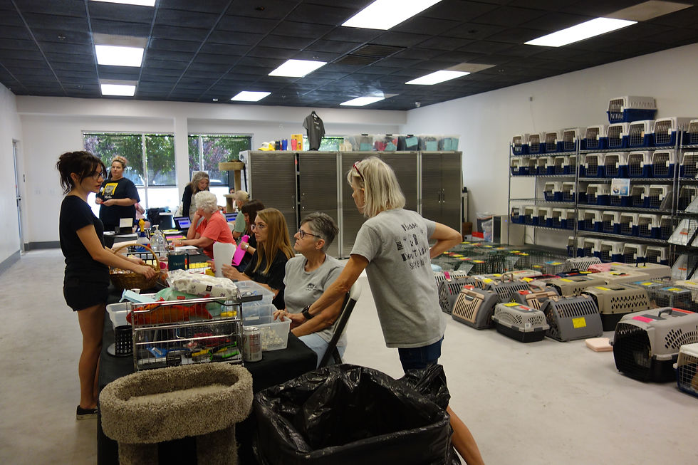 Volunteer Appreciation Gathering