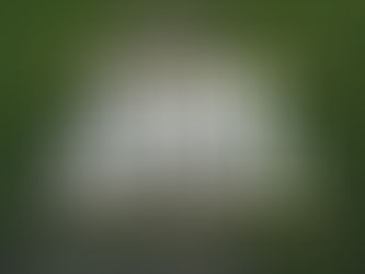 Curb Appeal: Bring Buyers to Your Door (or Enjoy Coming Home to Yours) Presented with Element Real E