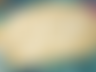 Classic Sandwich Bread (Dairy & Egg Free)