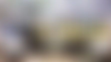 Programa Um Dia de Agente recebe equipe de trânsito de Gravataí