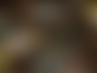 GM ABRE AS PORTAS DA SUA FÁBRICA PARA VISITAS PÚBLICAS