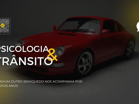 NENHUM OUTRO BRINQUEDO NOS ACOMPANHA POR TANTOS ANOS