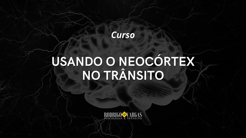 Curso Usando o Neocórtex no Trânsito