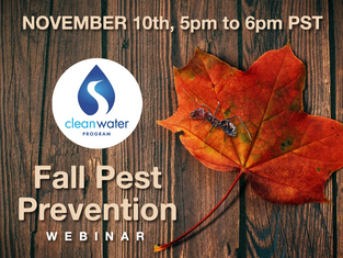 Fall Pest Prevention